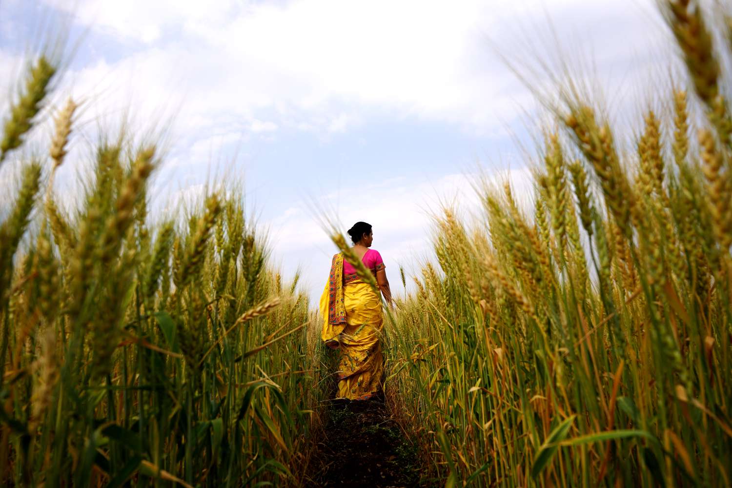 India spice plantation